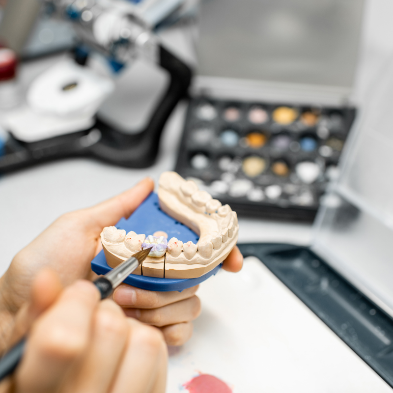 orthodigitalcontact (2)